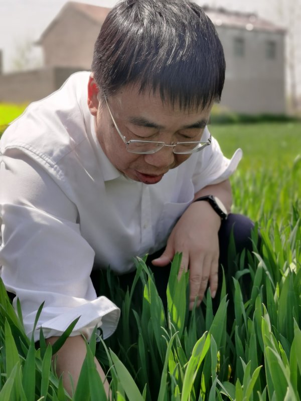 配资门户app官方版 先达股份董事长王现全: 行业拐点已至 以创新创制引领中国农药在全球崛起