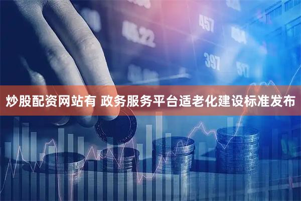 炒股配资网站有 政务服务平台适老化建设标准发布