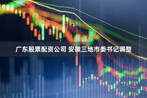 广东股票配资公司 安徽三地市委书记调整